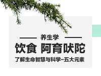 阿育吠陀養生學
